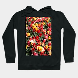 Tulips Hoodie